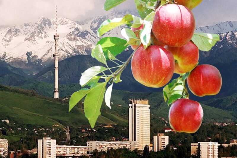 Қала Күні