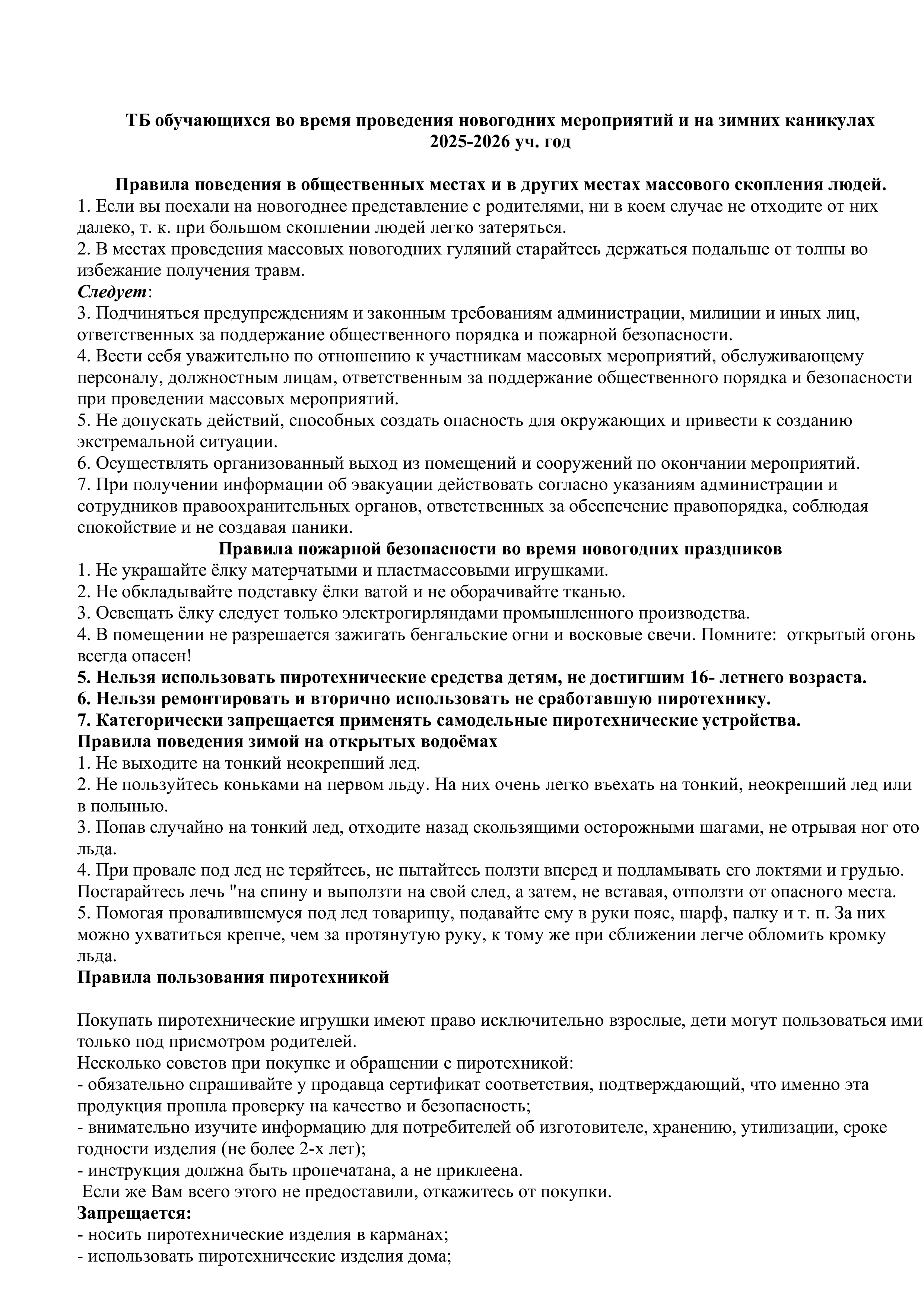 Техника безопасности на зимних каникулах