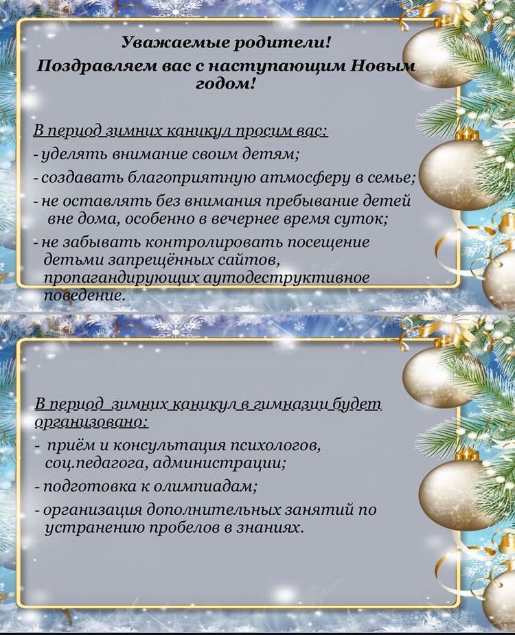 Организация зимних каникул